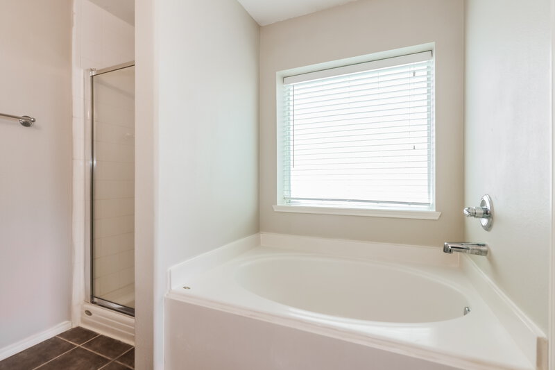 1,730/Mo, 18422 Austin Oak Lane Richmond, TX 77407 Main Bathroom View