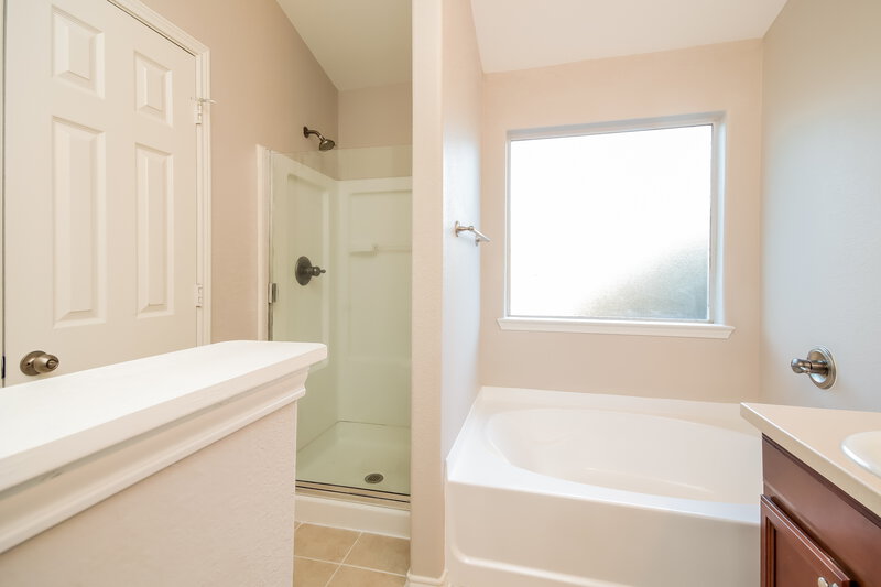 2,055/Mo, 14106 Chelseahurst Lane Houston, TX 77047 Main Bathroom View 2