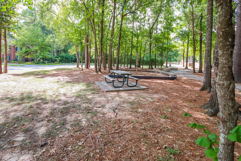 2,605/Mo, 2730 Woodspring Forest Dr Kingwood, TX 77345 Amenity View 4