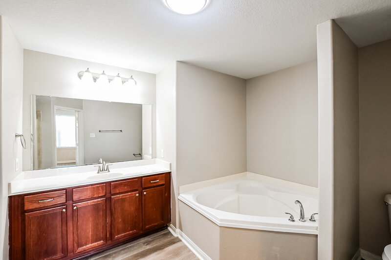 2,010/Mo, 9823 Garnet Springs Dr Rosharon, TX 77583 Main Bathroom View