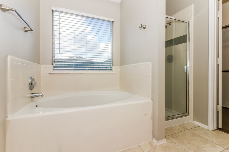 3,005/Mo, 2523 Flycatcher Cove Dr League City, TX 77573 Main Bathroom View 2