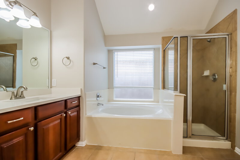 1,930/Mo, 14102 Seagler Springs Ln Houston, TX 77044 Bathroom View