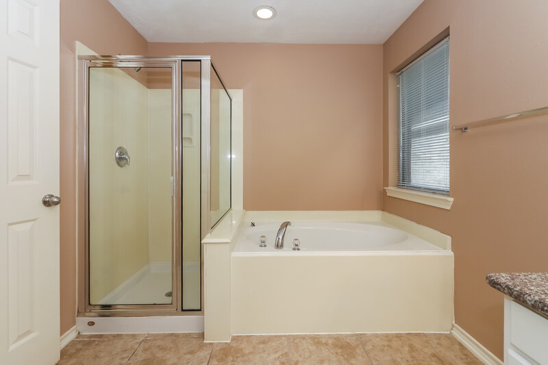2,320/Mo, 16707 Great Oaks Glen Dr Houston, TX 77083 Main Bathroom View