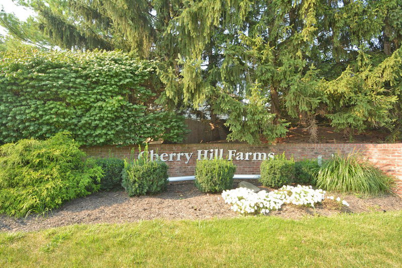 1,480/Mo, 11438 Cherry Blossom West Dr Fishers, IN 46038 Community Entrance View