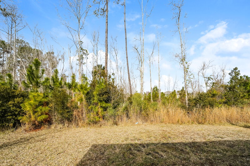 2,440/Mo, 95484 Gamay Ct Fernandina Beach, FL 32034 Rear View