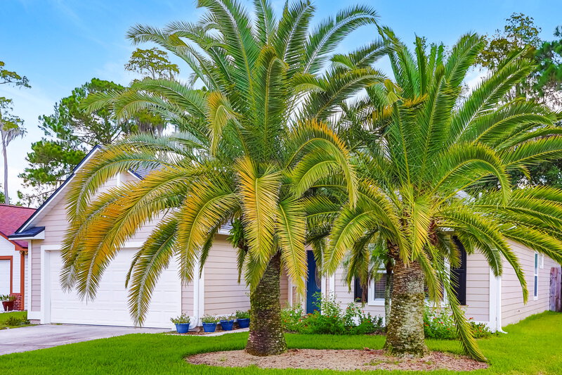 2,140/Mo, 11059 Ridge Point Dr Jacksonville, FL 32257 Front View 2