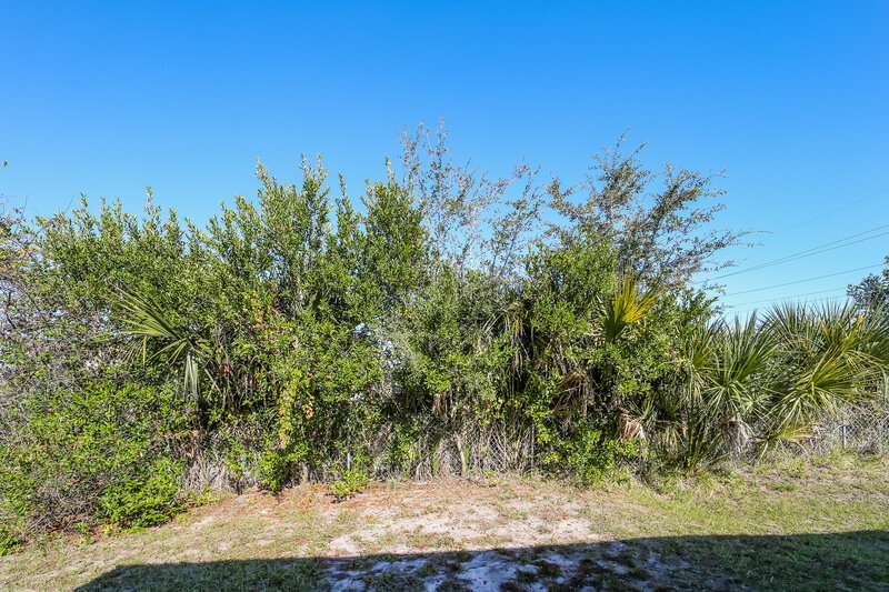 1,460/Mo, 1557 E 30th St Jacksonville, FL 32206 Backyard View