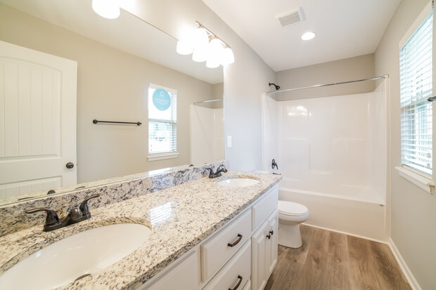 Main Bathroom View