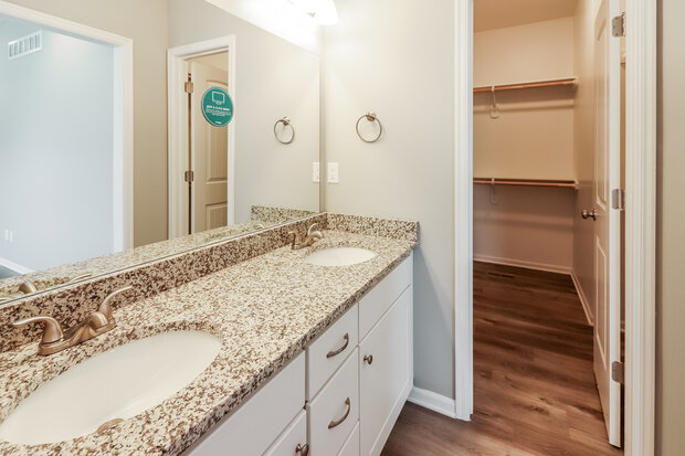 Main Bathroom View
