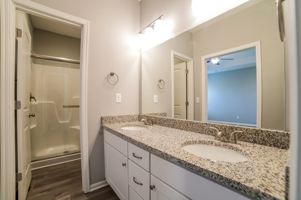 Main Bathroom View