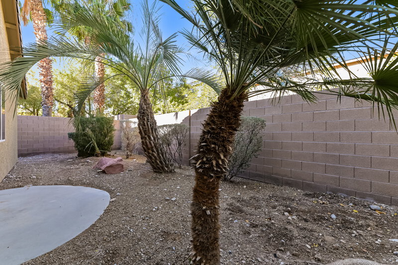 2,250/Mo, 9048 Blue Raven Ave Las Vegas, NV 89143 Rear View