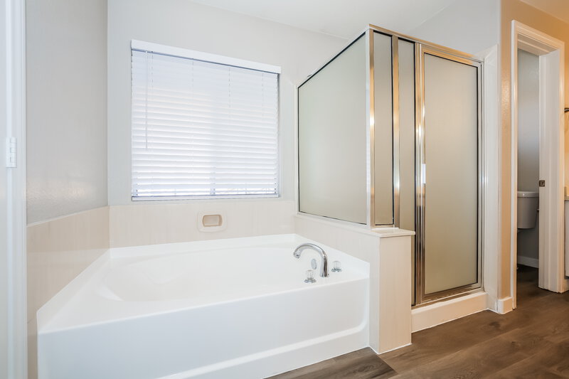 2,200/Mo, 3641 Pinnate Dr Las Vegas, NV 89147 Main Bathroom View 2