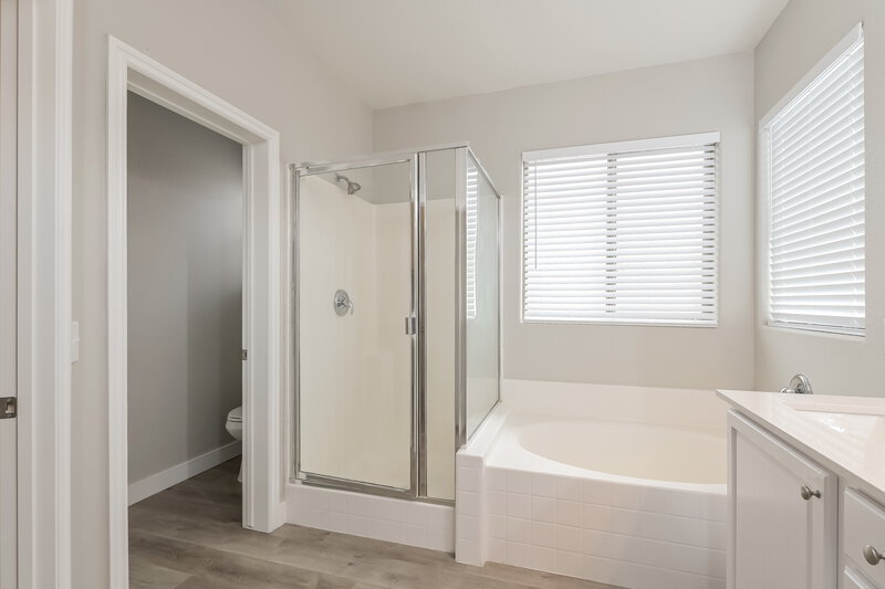 2,280/Mo, 628 Palm Wash Ln Henderson, NV 89011 Main Bathroom View 2