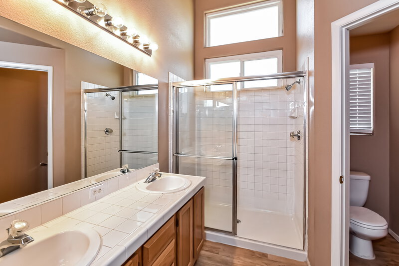 2,050/Mo, 2511 Cactus Hill Dr Las Vegas, NV 89156 Main Bathroom View