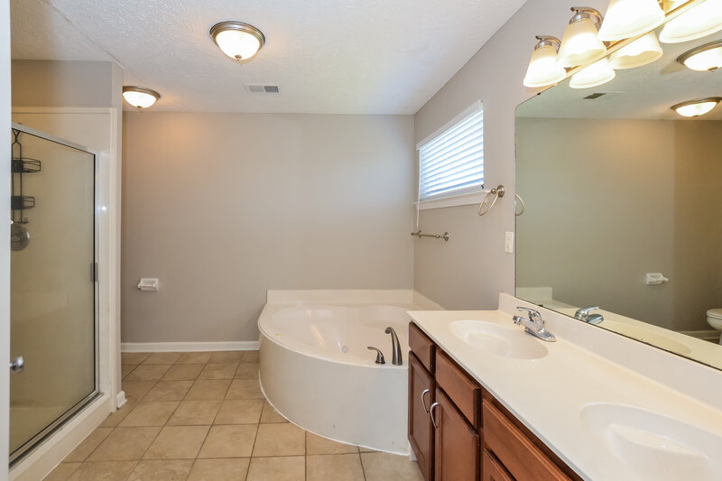 3,340/Mo, 10606 Three Wishes Dr Olive Branch, MS 38654 Main Bathroom View