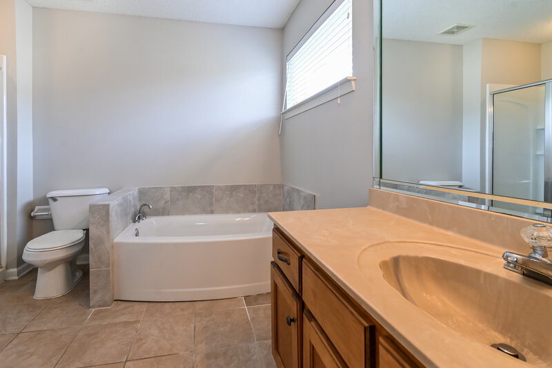 1,880/Mo, 9908 Tremont Dr Olive Branch, MS 38654 Main Bathroom View