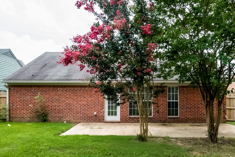 2,320/Mo, 10716 Ridgefield Dr Olive Branch, MS 38654 Rear View 2