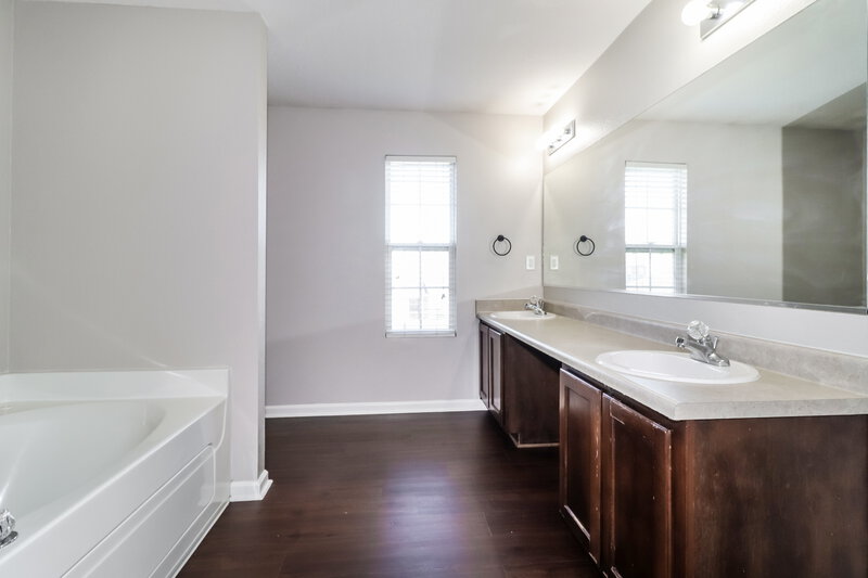 1,585/Mo, 10216 Cottage Farms Dr Cordova, TN 38016 Main Bathroom View