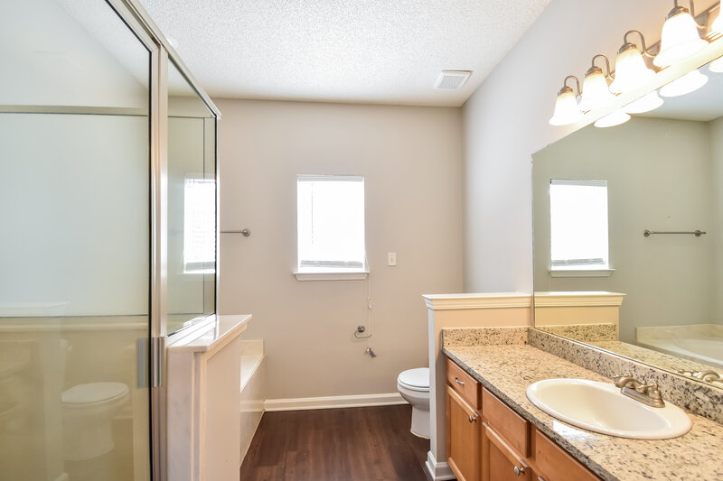 1,740/Mo, 1015 Cassabella Cv Memphis, TN 38018 Main Bathroom View