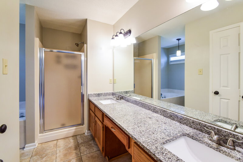 1,975/Mo, 1676 Sandpiper Cv N Hernando, MS 38632 Main Bathroom View