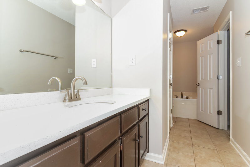 2,680/Mo, 3457 Sundial Dr Hernando, MS 38632 Main Bathroom View 2