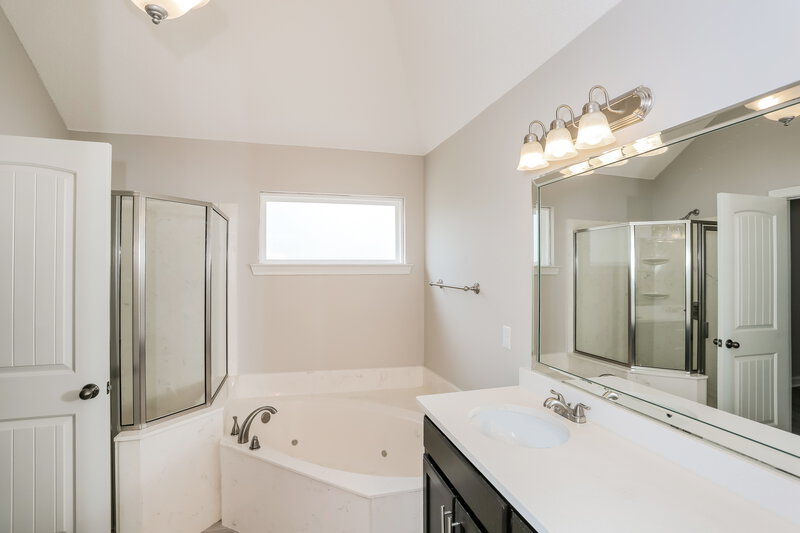 1,800/Mo, 7729 Delta Bluffs Pkwy Walls, MS 38680 Main Bathroom View