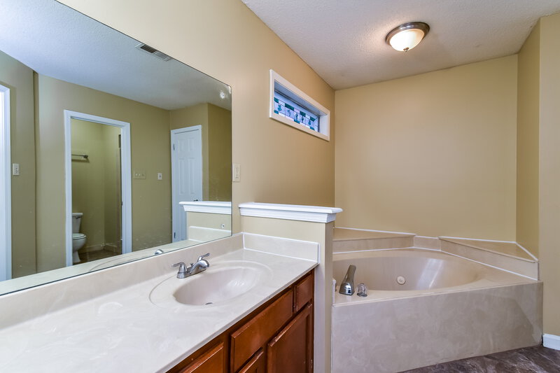 1,600/Mo, 4002 Wood Birch Cove Memphis, TN 38115 Bathroom View 2