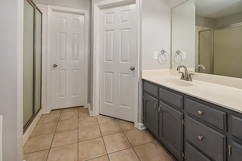 2,870/Mo, 1271 Pendulum Dr Hernando, MS 38632 Main Bathroom View 2