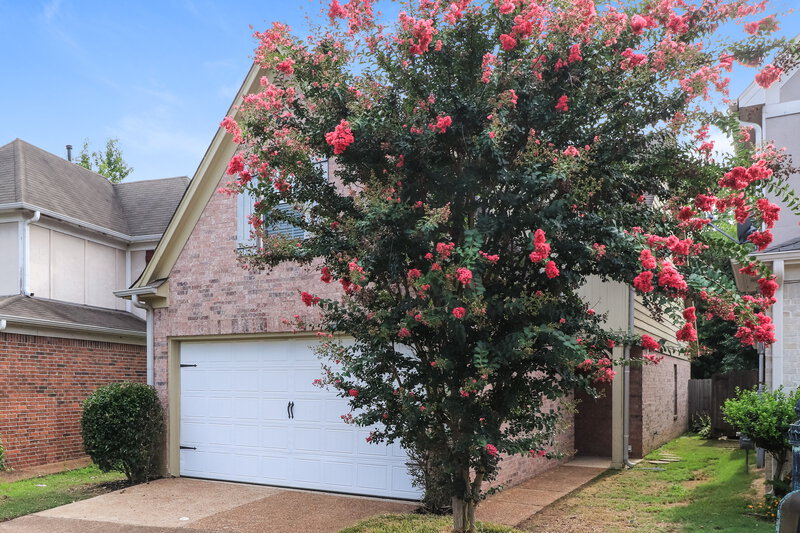 1,500/Mo, 1021 Cordova Ridge Pl Cordova, TN 38018 Misc View