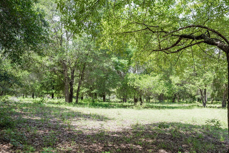 2,890/Mo, 2646 Lake Cora Rd Apopka, FL 32712 Exterior View