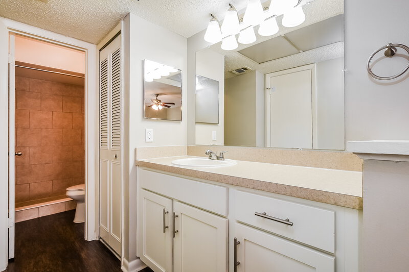 3,110/Mo, 944 Cheetah Trl Apopka, FL 32712 Main Bathroom View