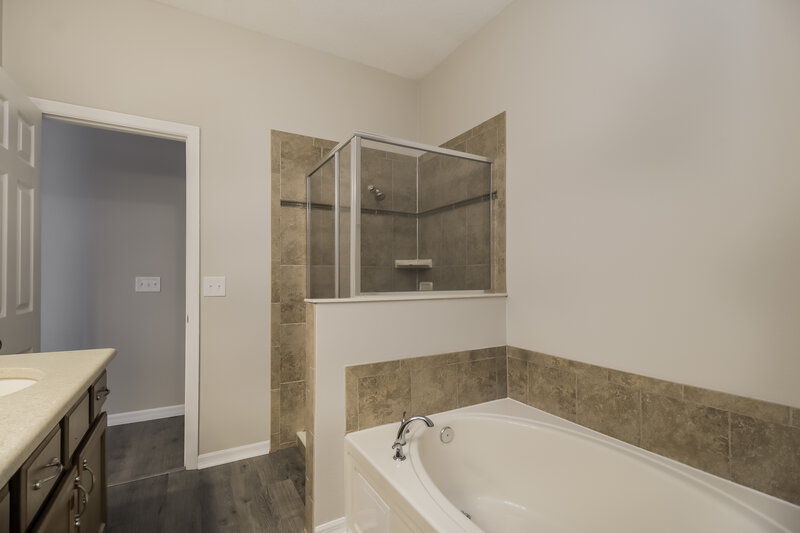 2,285/Mo, 20946 Oldenburg Loop Mount Dora, FL 32757 Main Bathroom View 2