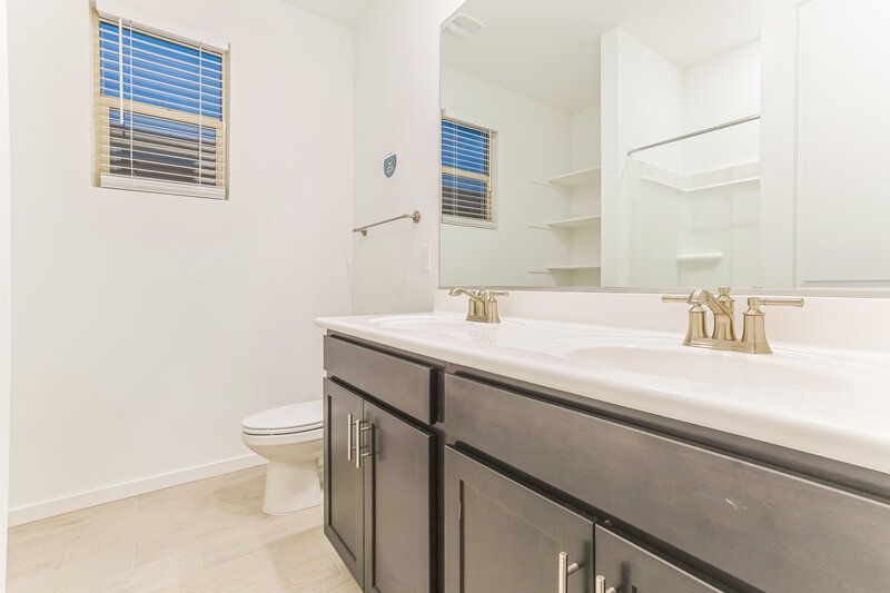 2,380/Mo, 4576 W Hannah Street San Tan Valley, AZ 85144 Bathroom View
