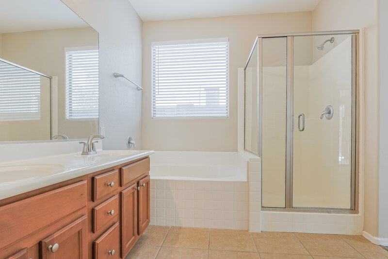 2,220/Mo, 20189 S 198th St Queen Creek, AZ 85142 Main Bathroom View 2