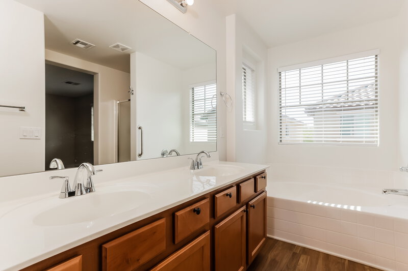 2,030/Mo, 17874 N 114th Ln Surprise, AZ 85378 Main Bathroom View