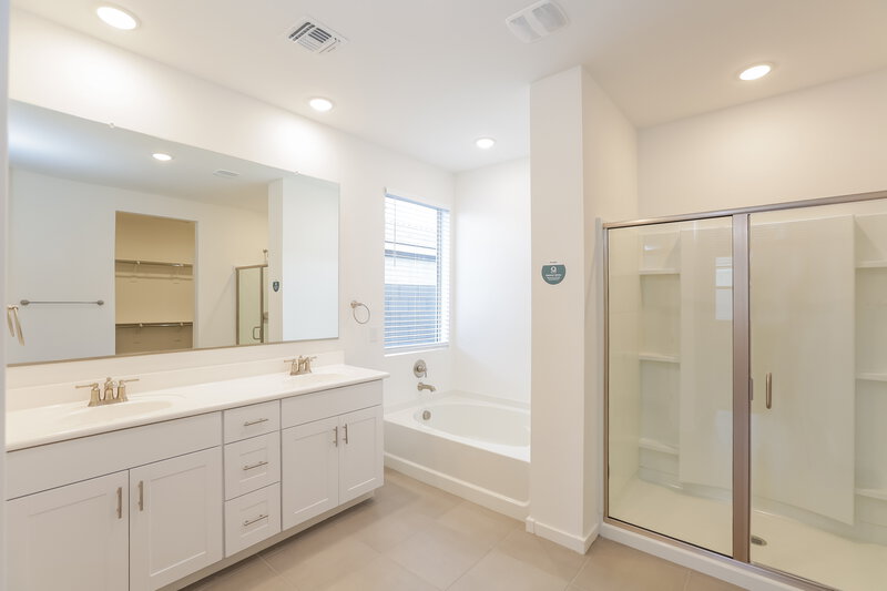 3,650/Mo, 17310 W Running Deer Trl Surprise, AZ 85387 Main Bathroom View