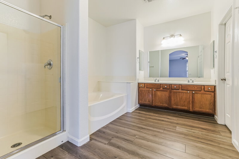 2,430/Mo, 41282 N Vine Ave San Tan Valley, AZ 85140 Main Bathroom View