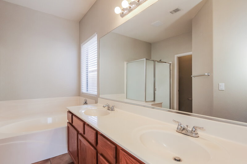 2,005/Mo, 1523 S 84th Dr Tolleson, AZ 85353 Main Bathroom View