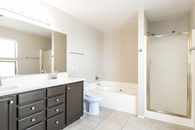 2,495/Mo, 8938 E Plana Ave Mesa, AZ 85212 Main Bathroom View