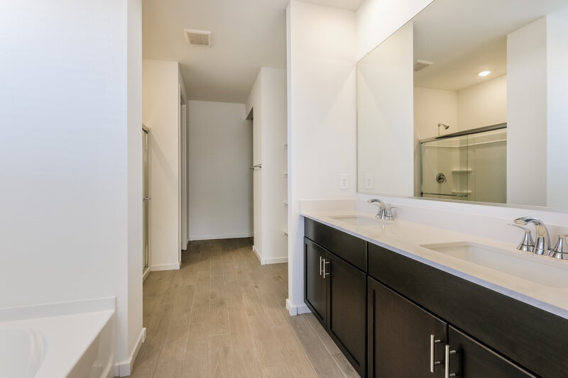 2,295/Mo, 24461 W Grove St Buckeye, AZ 85326 Main Bathroom View