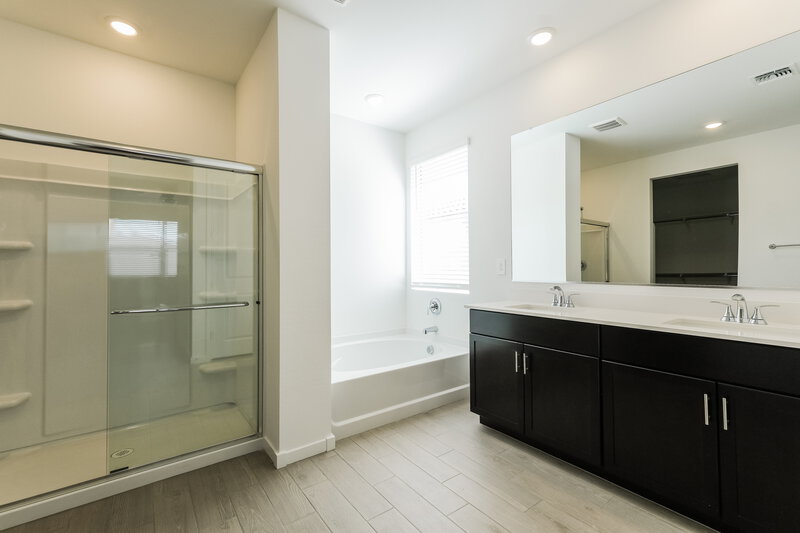 2,350/Mo, 24453 W Grove St Buckeye, AZ 85326 Main Bathroom View