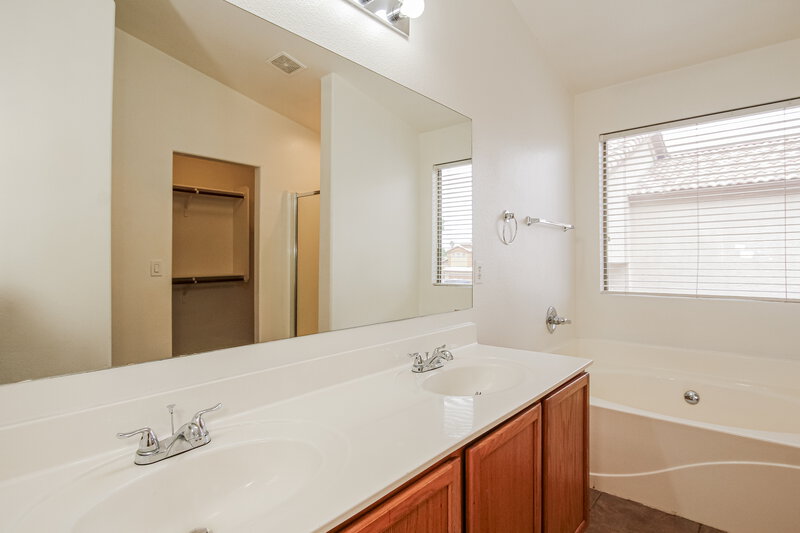 2,365/Mo, 16206 N 162nd Dr Surprise, AZ 85374 Main Bathroom View