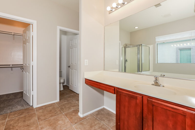 1,995/Mo, 735 W Fruit Tree Ln San Tan Valley, AZ 85143 Main Bathroom View