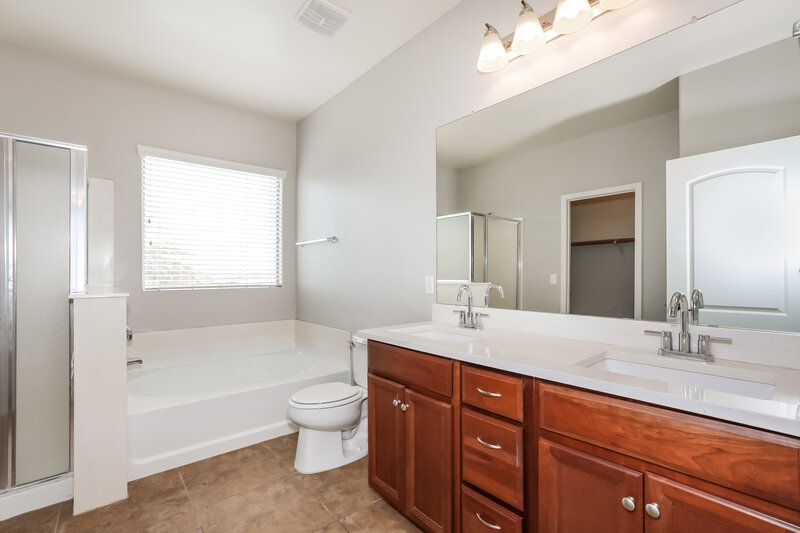 1,795/Mo, 30783 North Karen Avenue San Tan Valley, AZ 85143 Main Bathroom View