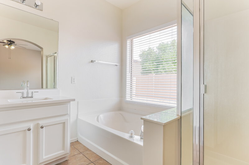 2,160/Mo, 2903 East Pinto Valley Road San Tan Valley, AZ 85143 Main Bathroom View
