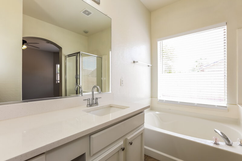 1,855/Mo, 2903 East Pinto Valley Road San Tan Valley, AZ 85143 Main Bathroom View 2