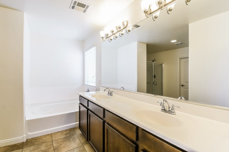 2,200/Mo, 1945 N Arroya Road Mesa, AZ 85205 Main Bathroom View