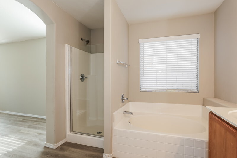 1,795/Mo, 32647 N Cherry Creek Rd San Tan Valley, AZ 85142 Main Bathroom View 2