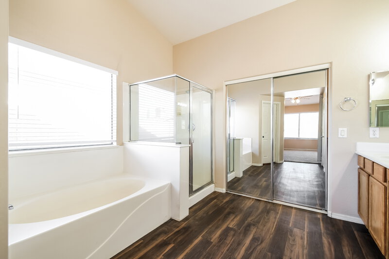 2,195/Mo, 2540 W Silver Streak Way Queen Creek, AZ 85142 Main Bathroom View