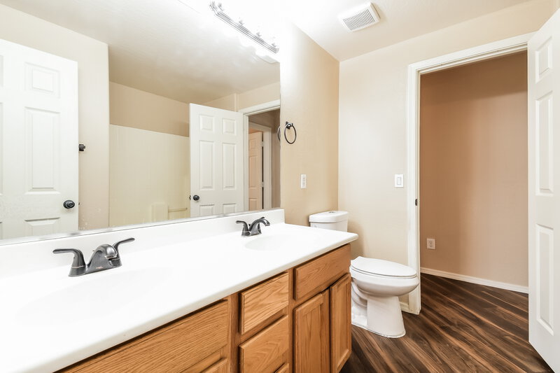 2,195/Mo, 2540 W Silver Streak Way Queen Creek, AZ 85142 Main Bathroom View 2